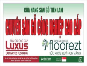 Sàn gỗ sàn nhựa Tiến Lam